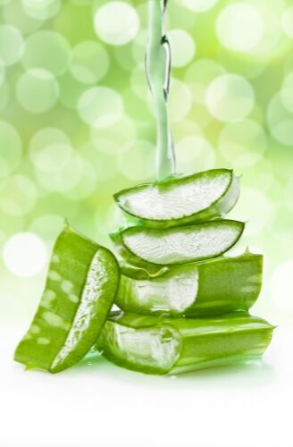 Aloe Vera Bild Home